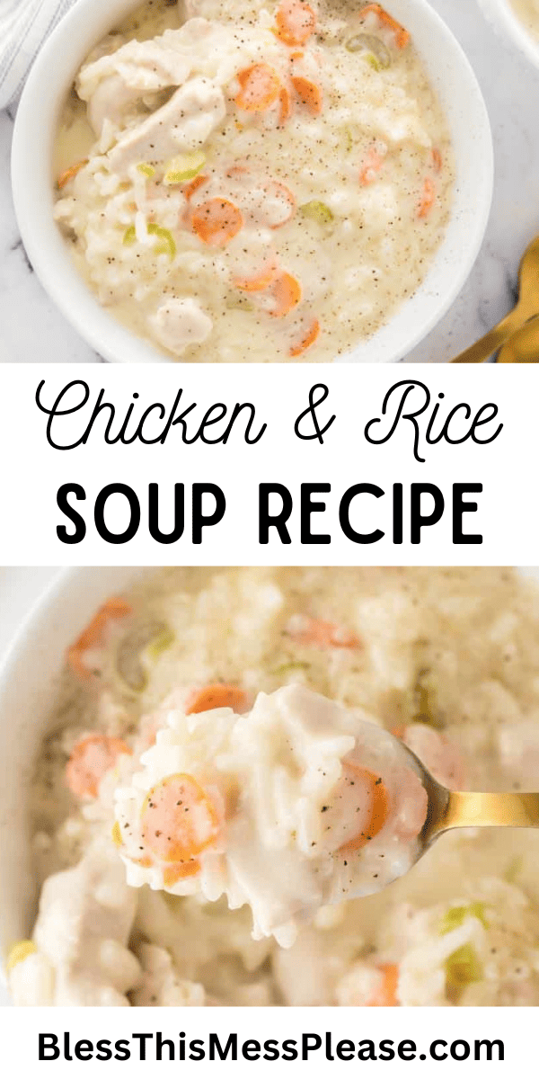 Chicken and Rice Soup — Bless this Mess