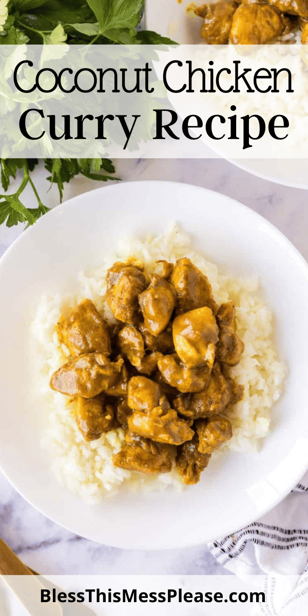 Coconut Chicken Curry — Bless this Mess