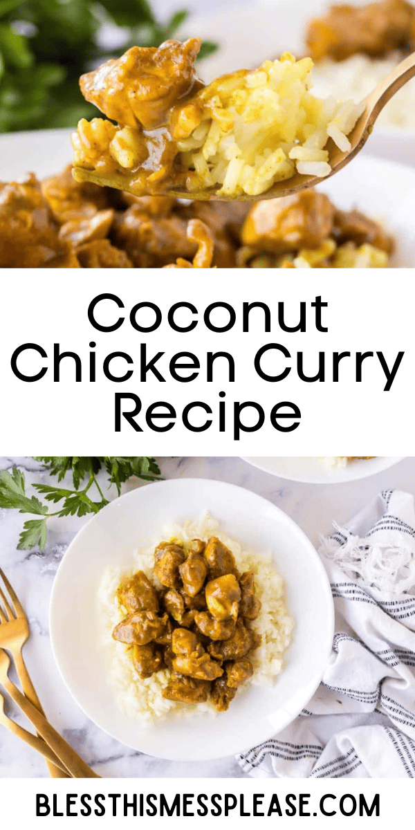 Coconut Chicken Curry — Bless this Mess