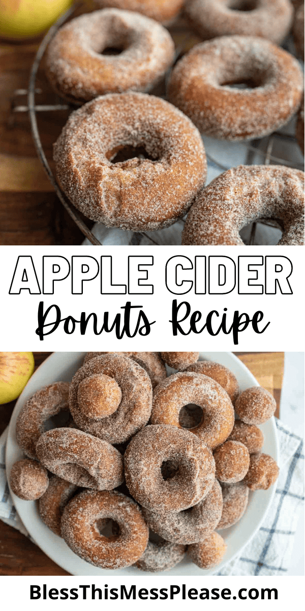 Apple Cider Donuts — Bless this Mess