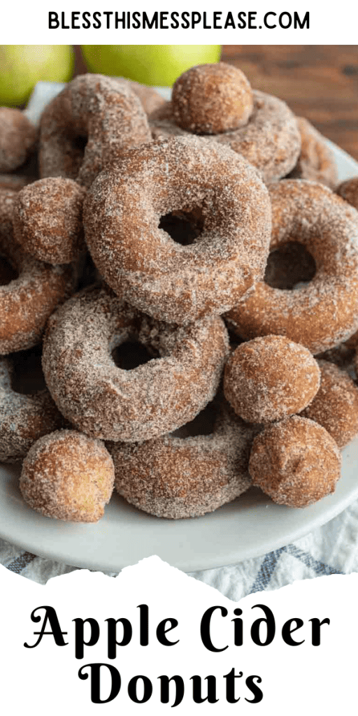 Apple Cider Donuts — Bless this Mess
