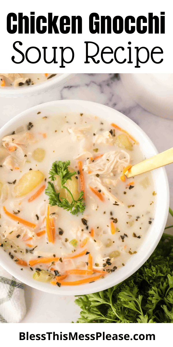 Chicken Gnocchi Soup — Bless this Mess