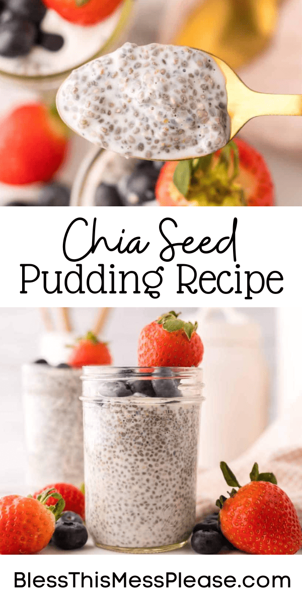 Pinterest pin with text that reads Chia Seed Pudding Recipe.