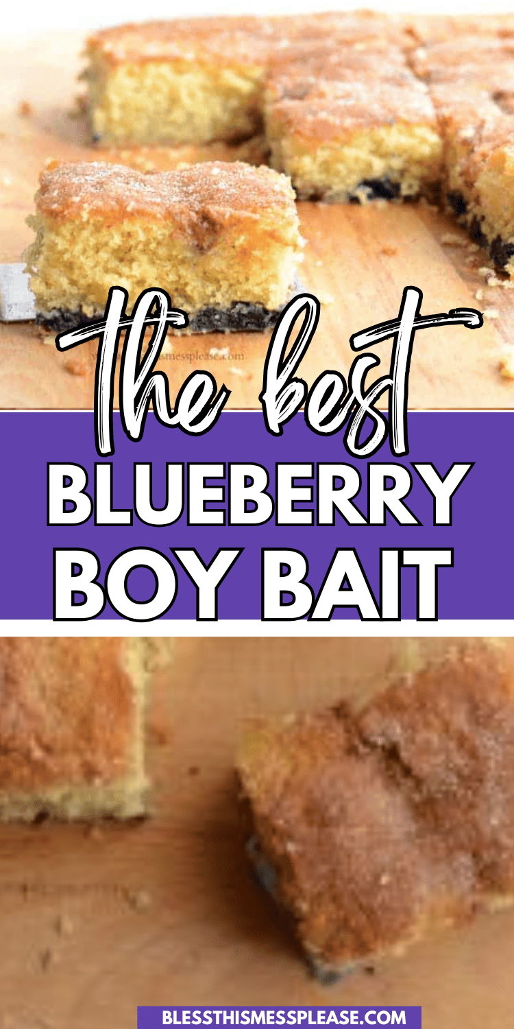 Close-up of a baked dessert known as Blueberry Boy Bait. Slices of the cake reveal a crumbly top dotted with juicy blueberries. Text overlay proclaims it The Best Blueberry Boy Bait, while the website name is displayed at the bottom.