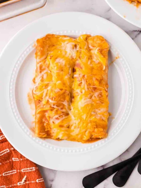 cheese enchiladas on a white plate ready to devour.