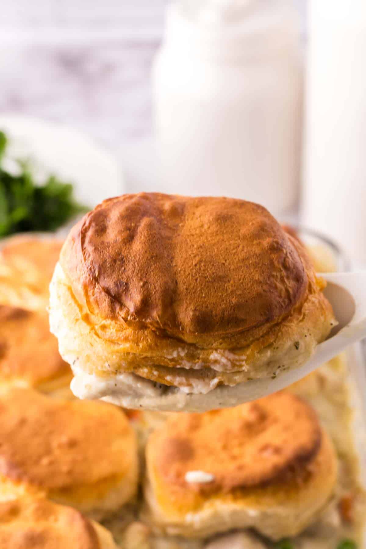 white spoon pulling a biscuit out of casserole dish with the chicken and biscuits recipe.