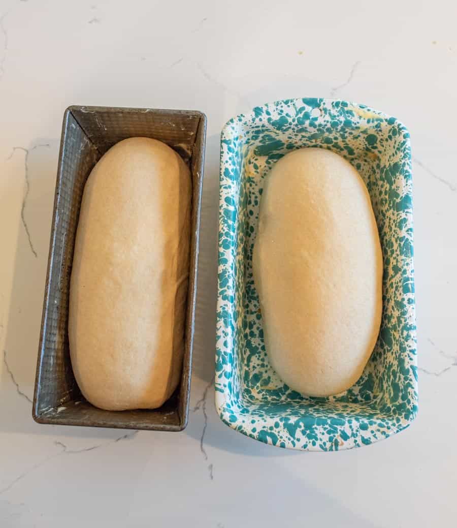 Top view of the loaves of raw dough in greased pans. 