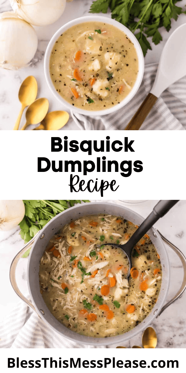 Pinterest pin with text that reads bisquick dumplings recipe.