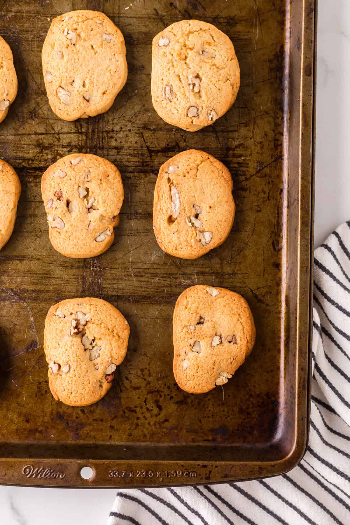 honey pecan sliced cookies on a baking sheet.