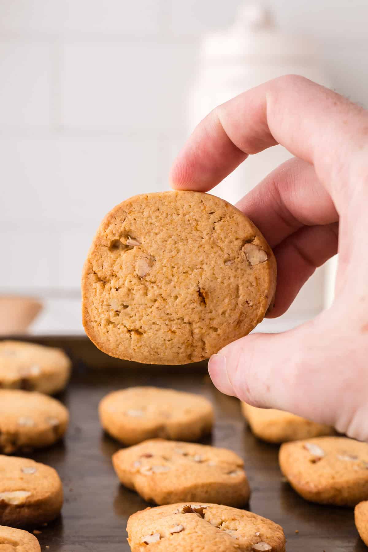 POV hand holding a honey pecan sliced cookie.