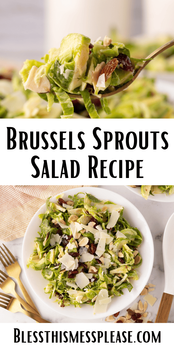 Pinterest pin with text that reads Brussels Sprouts Salad Recipe.