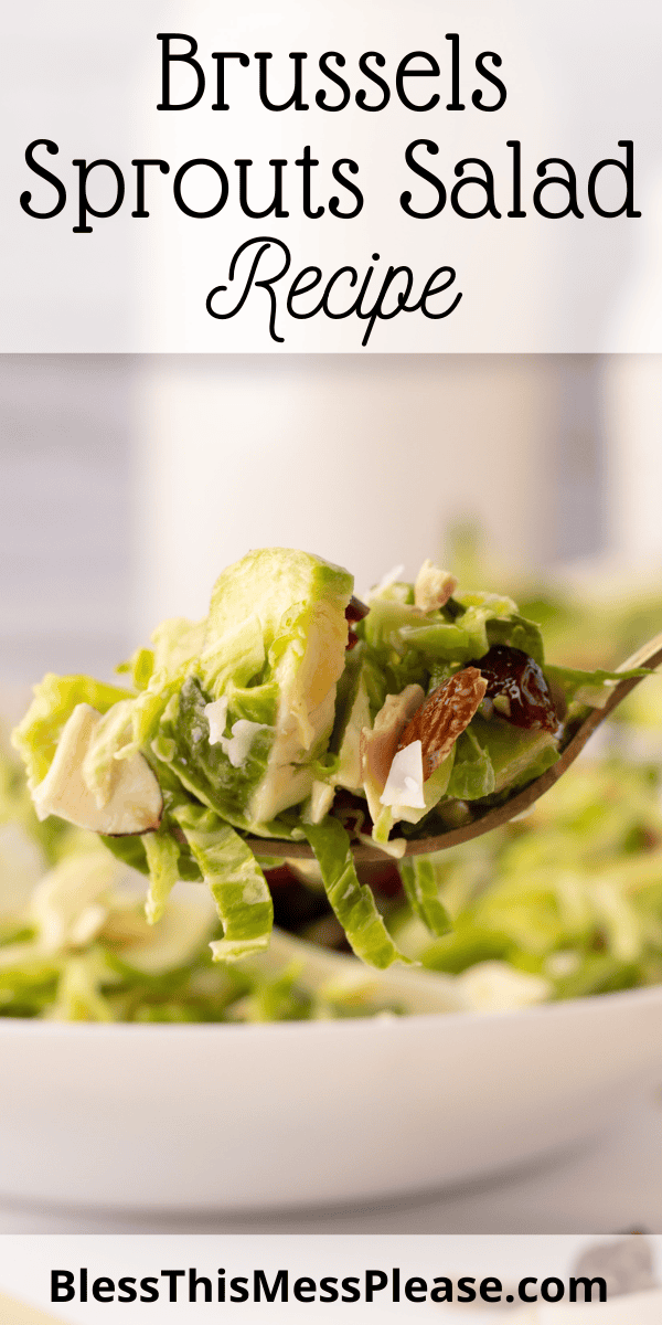 Pinterest pin with text that reads Brussels Sprouts Salad Recipe.