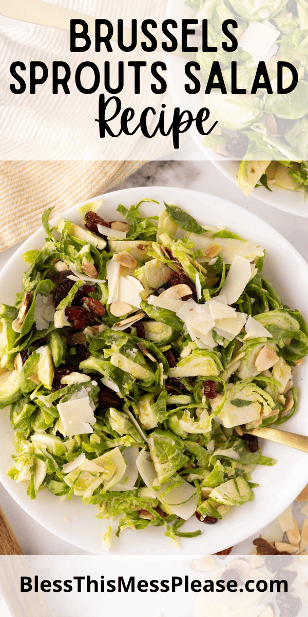 Pinterest pin with text that reads Brussels Sprouts Salad Recipe.