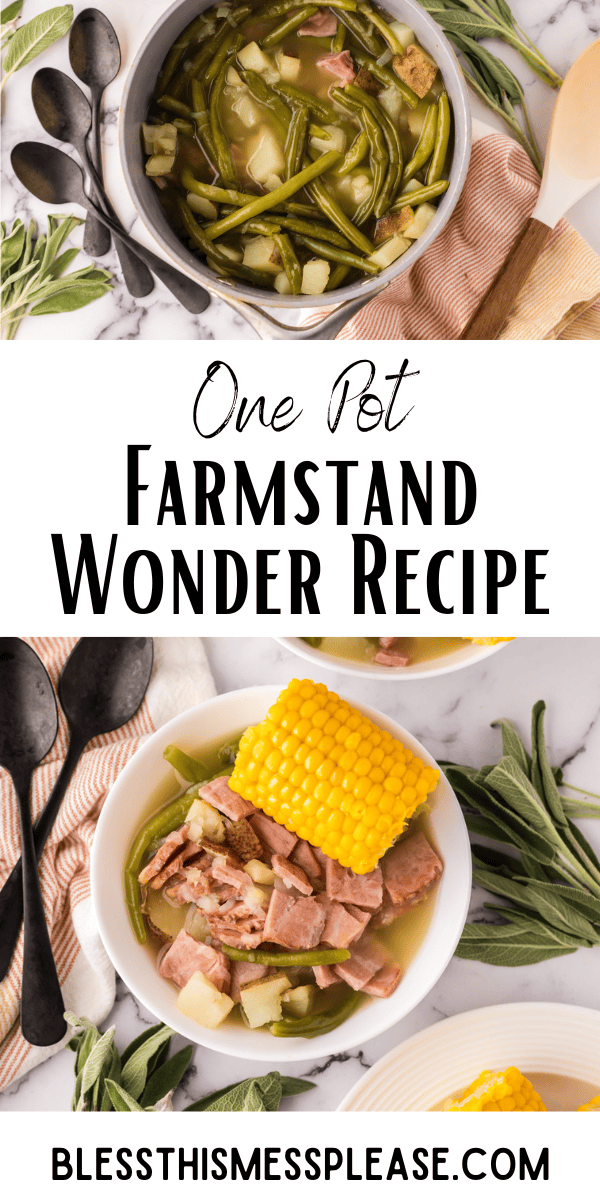 Pinterest pin with text that reads One Pot Farmstead Wonder Recipe.