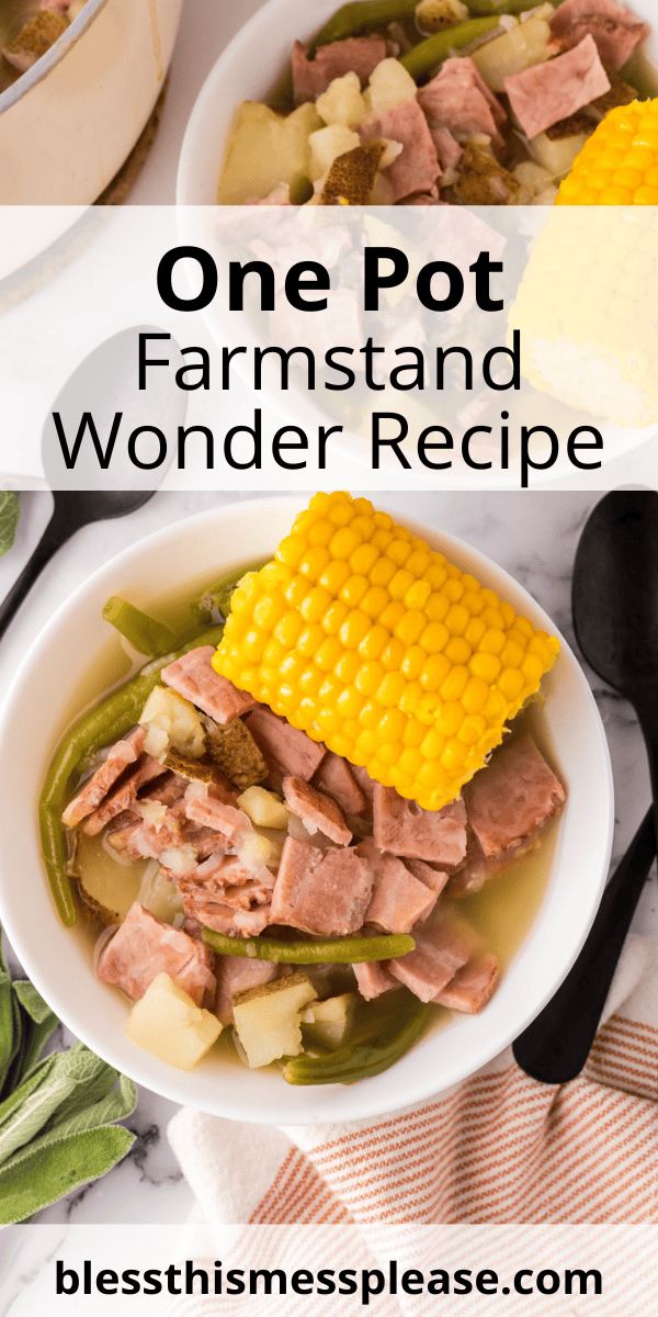 Pinterest pin with text that reads One Pot Farmstead Wonder Recipe.