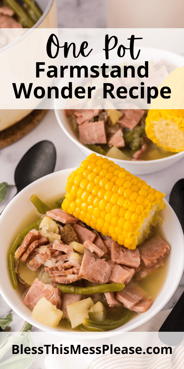 Pinterest pin with text that reads One Pot Farmstead Wonder Recipe.