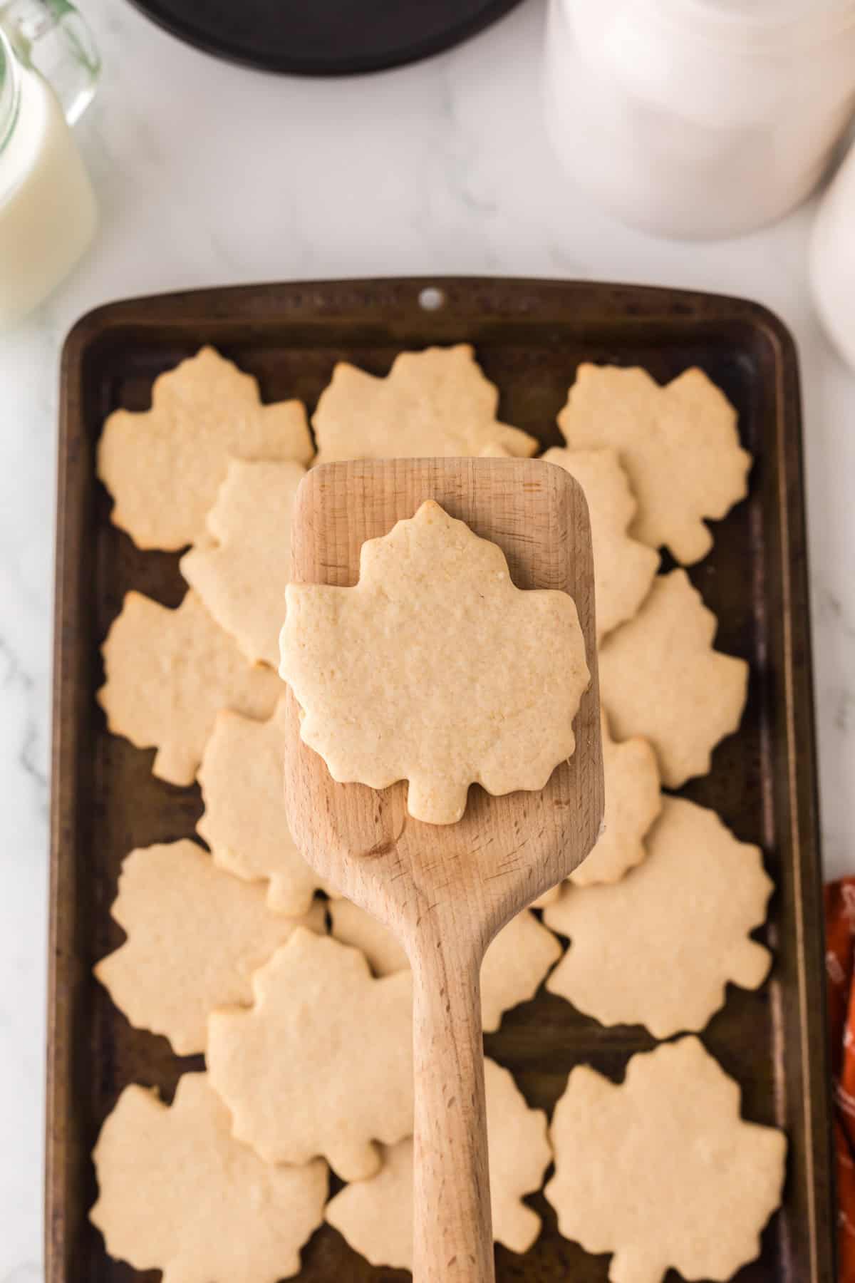 baking tray with maple leaf shaped maple sugar cookies.