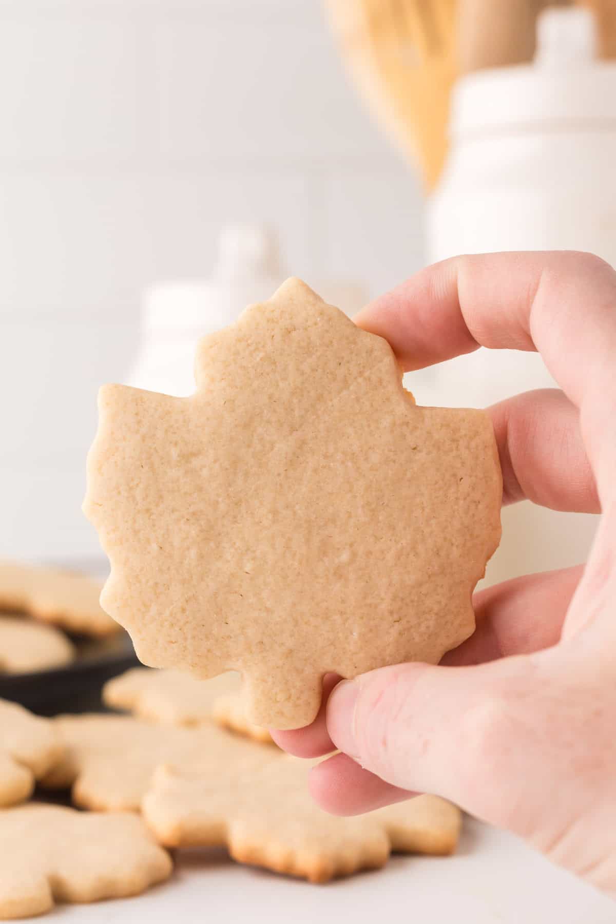 POV hand holding maple leaf shaped maple sugar cookie.