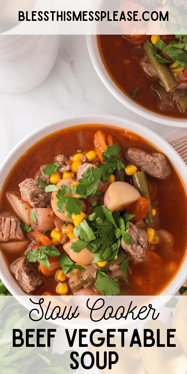 Pinterest pin with text that reads Slow cooker Beef Vegetable Soup.