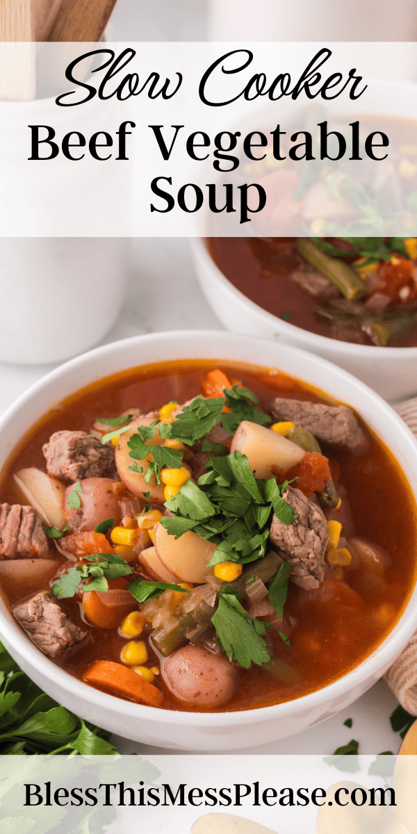 Pinterest pin with text that reads Slow cooker Beef Vegetable Soup.