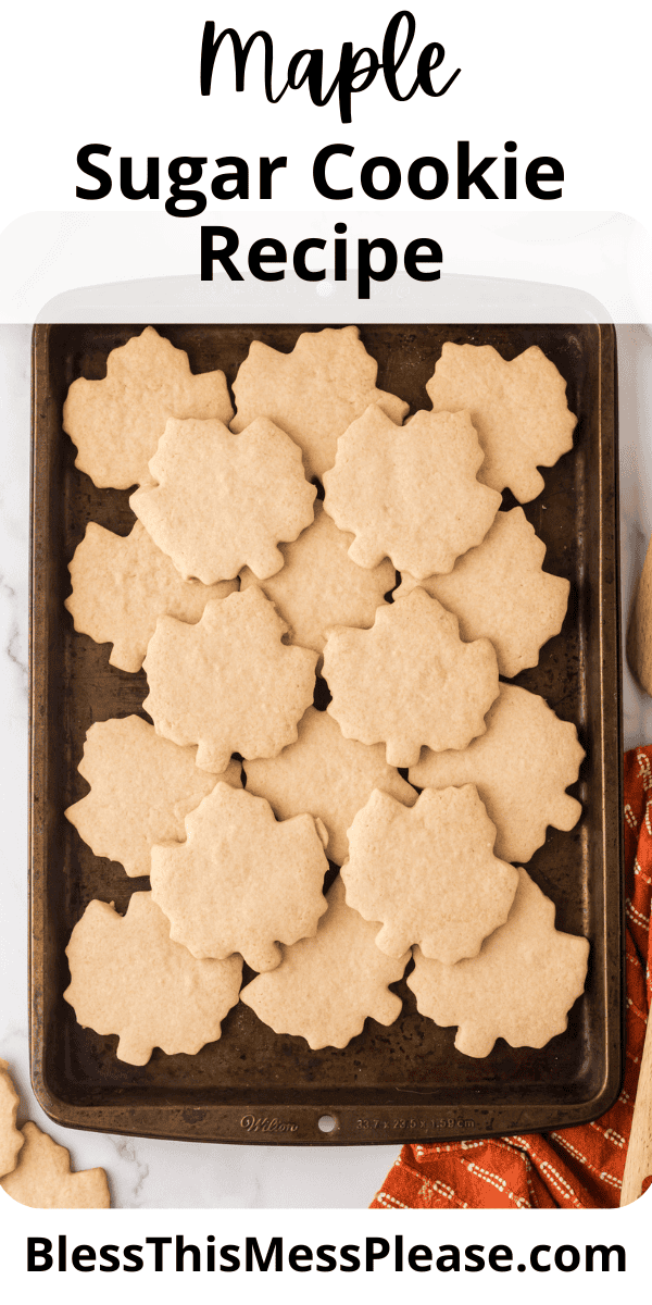 Pinterest pin with text that reads Maple Sugar Cookie Recipe.