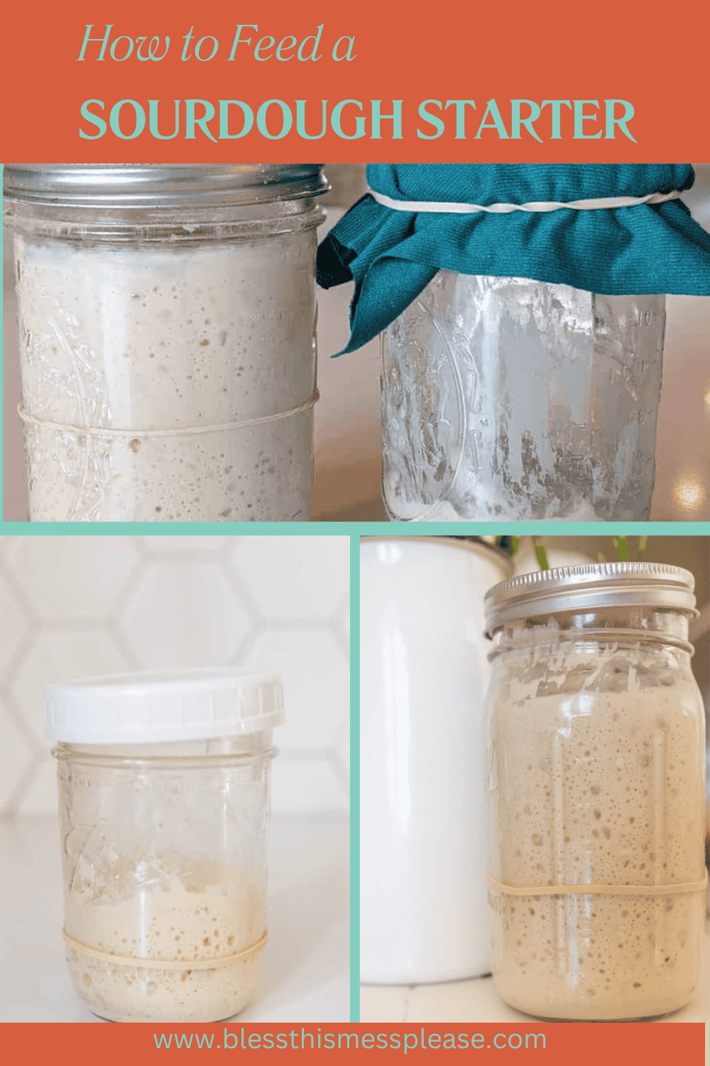 how to feed a sourdough starter pin.