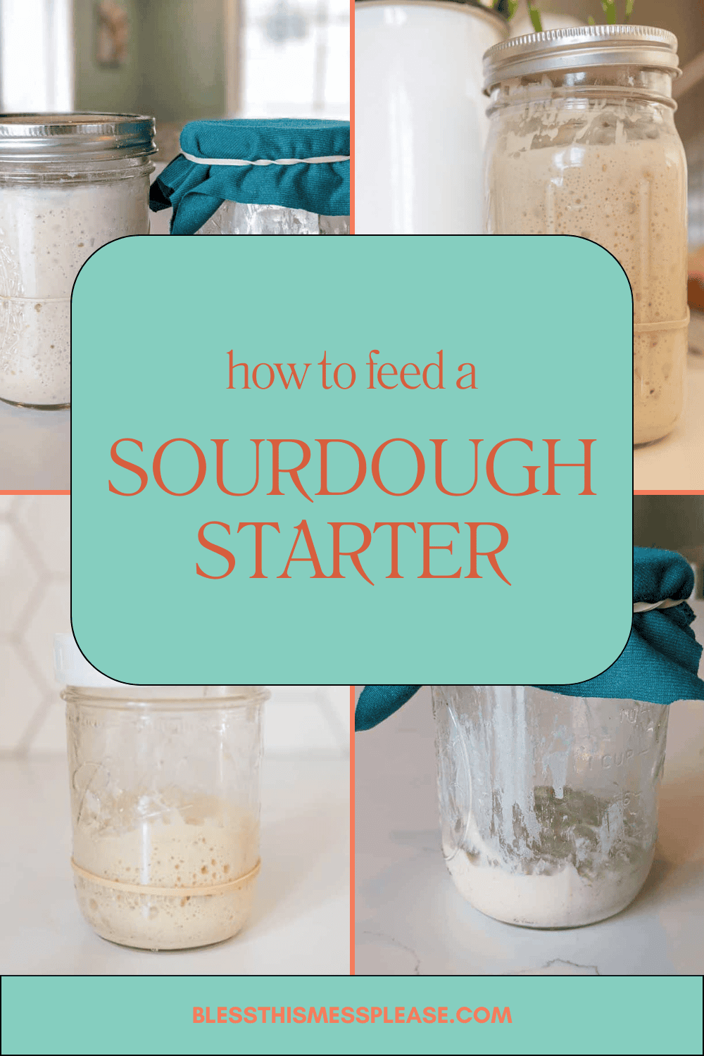 how to feed sourdough starter pin 2.