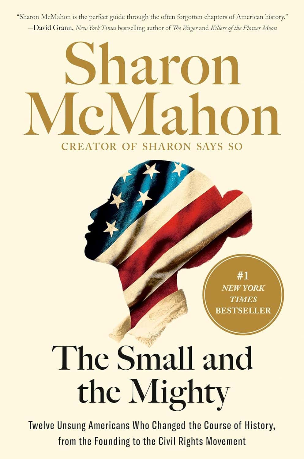 Book cover of The Small and the Mighty by Sharon McMahon. It features a silhouette of a person with an American flag pattern. The subtitle reads, Twelve Unsung Americans Who Changed the Course of History, from the Founding to the Civil Rights Movement.