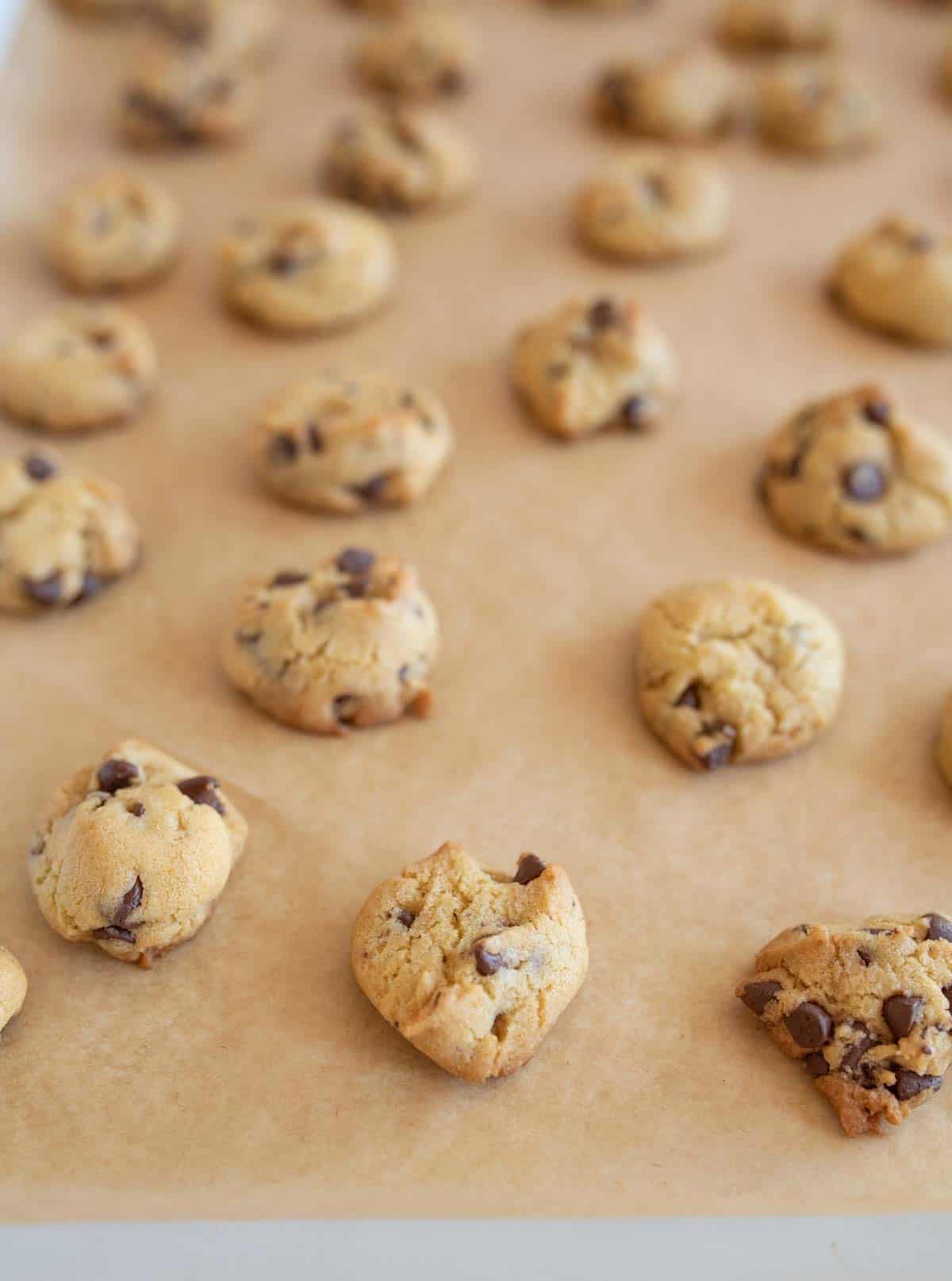 A tray of freshly baked chocolate chip cookies on parchment paper. One cookie has a bite taken out of it, showcasing a soft interior with visible chocolate chips. The cookies are golden brown and evenly spaced.