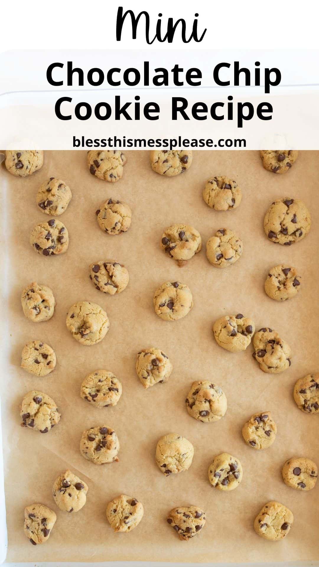 A baking tray lined with parchment paper holds multiple evenly spaced mini chocolate chip cookies. The image text reads Mini Chocolate Chip Cookie Recipe and features the website blessthismessplease.com.