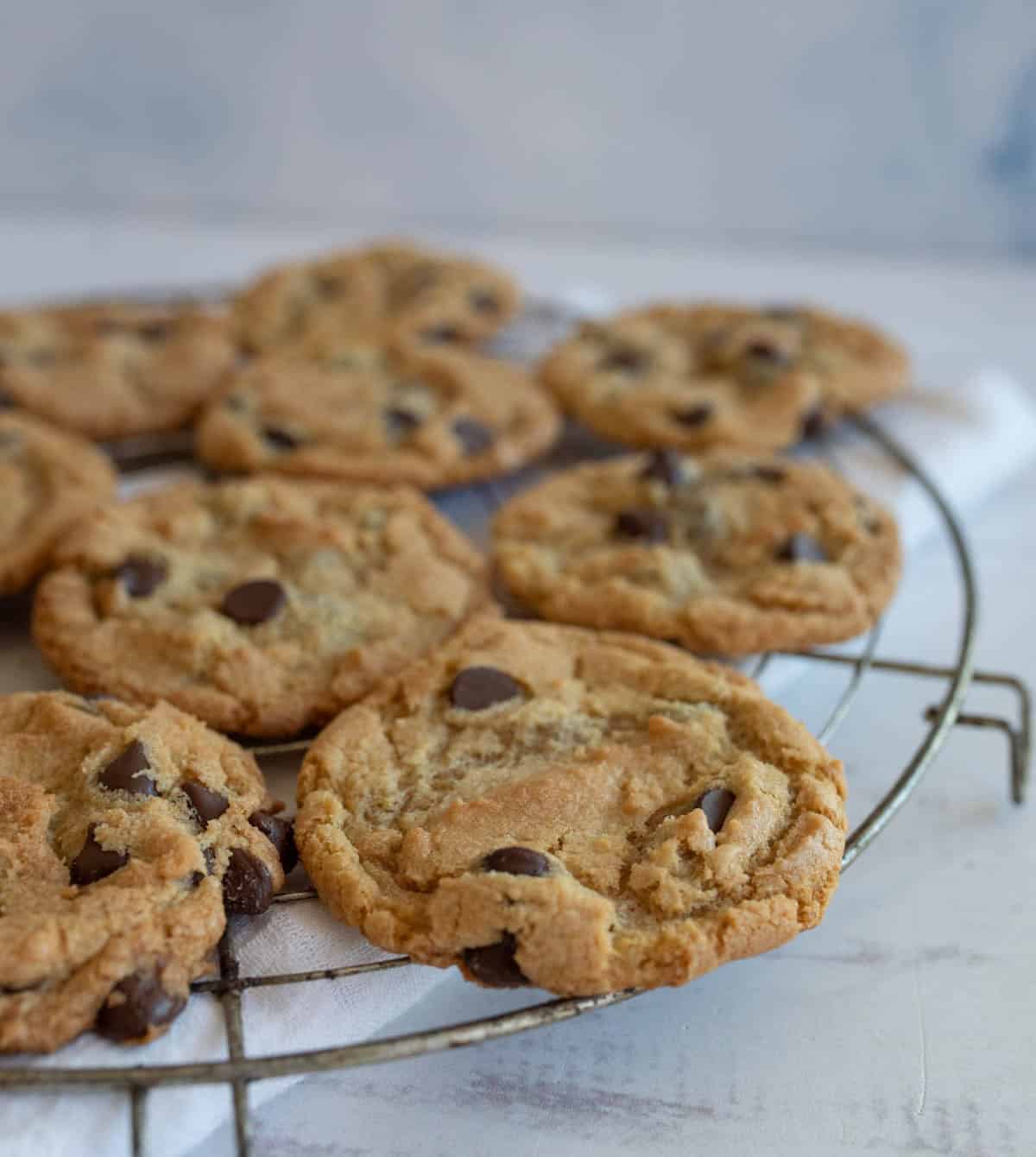 A batch of freshly baked chocolate chip cookies sits on a round cooling rack placed on a white surface. The cookies are golden brown with visible chocolate chips.